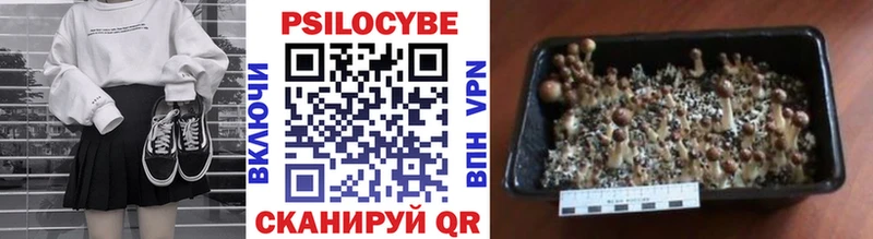 где можно купить наркотик  Усть-Джегута  omg tor  Галлюциногенные грибы MAGIC MUSHROOMS 