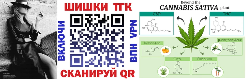 купить закладку Усть-Джегута сайты даркнета состав Марихуана тримм